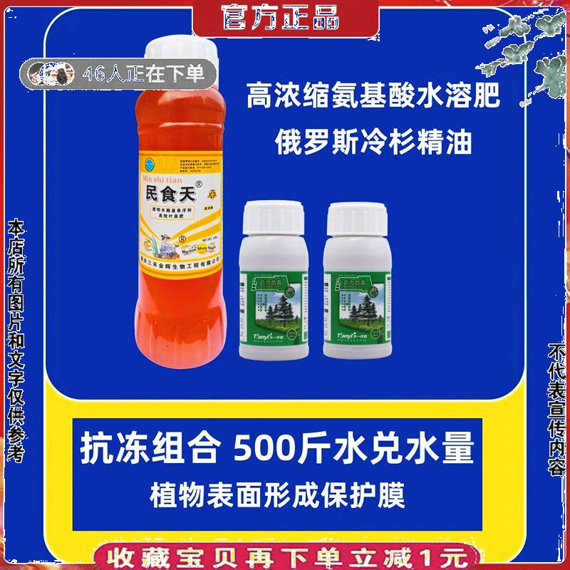 植物防冻液榴莲苗树叶保护剂蔬菜香蕉防冻害冷杉精油氨基酸叶面肥