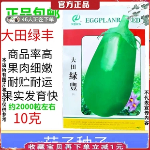 大青茄子种子大田绿长圆茄种子苗菜种大全蔬菜种籽孑圆青线秧10克