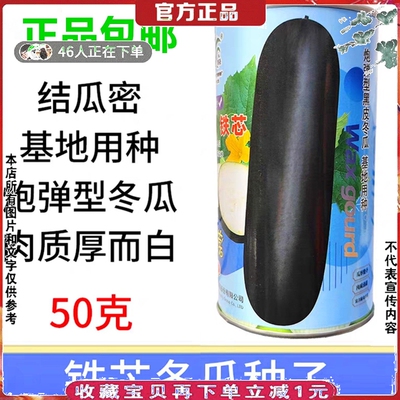 高端黑皮冬瓜种子50克大田基地用