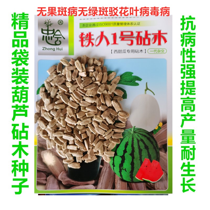 袋装葫芦砧木种子抗病高产耐寒热