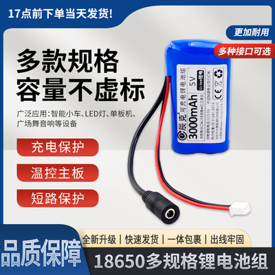 贝科姆12V5V智能锂电池大容量