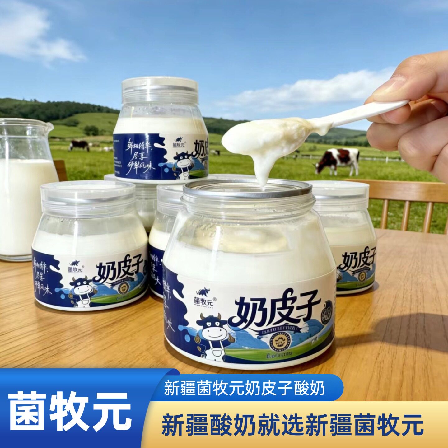 新疆特产手工老酸奶菌牧元奶皮子251g小罐装酸奶营养早餐酸奶
