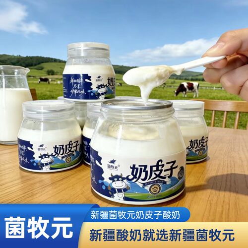 新疆特产手工老酸奶菌牧元奶皮子251g小罐装酸奶营养早餐酸奶