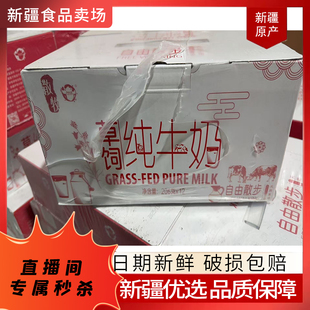 12盒 新疆伊牧欣我从伊犁来纯牛奶3.0蛋白206ml 关注可秒