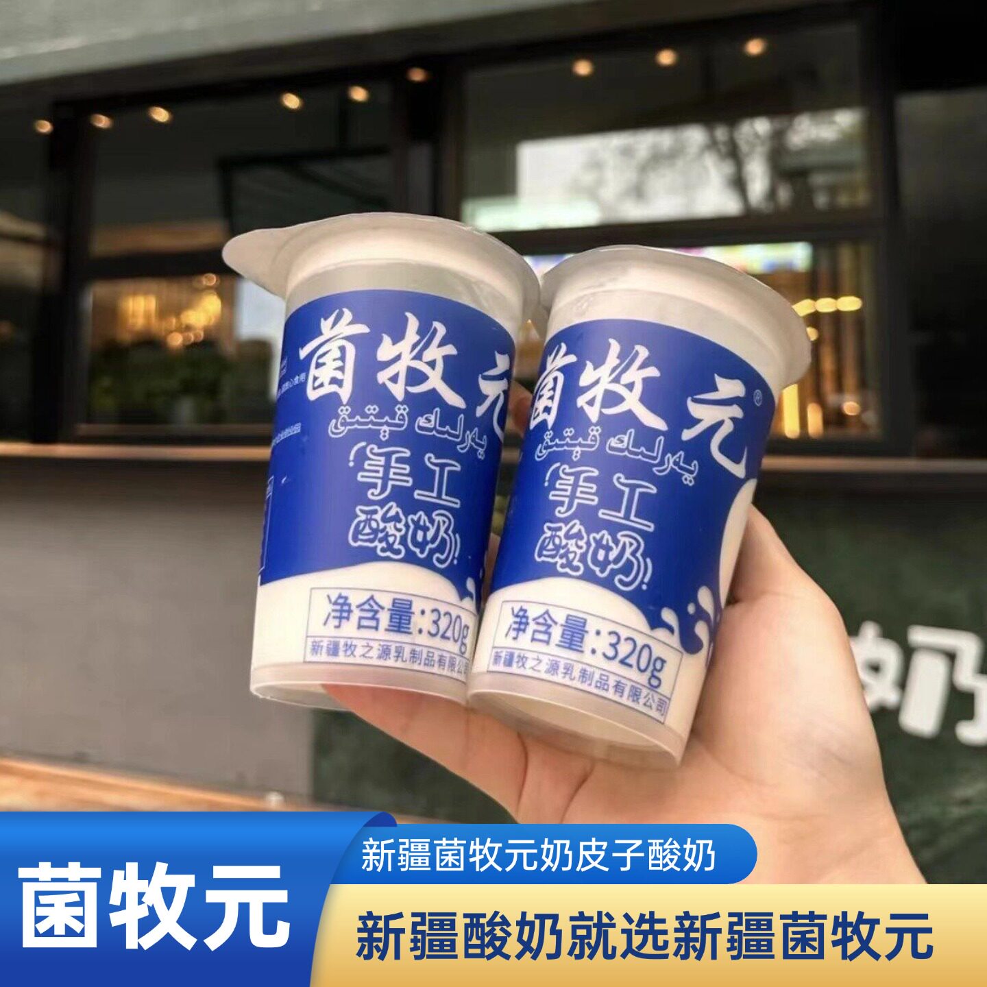 新疆老酸奶菌牧元手工酸奶新疆特产健康营养早餐酸奶顺丰空运