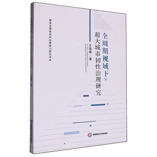 全周期视域下超大城市韧性治理研究