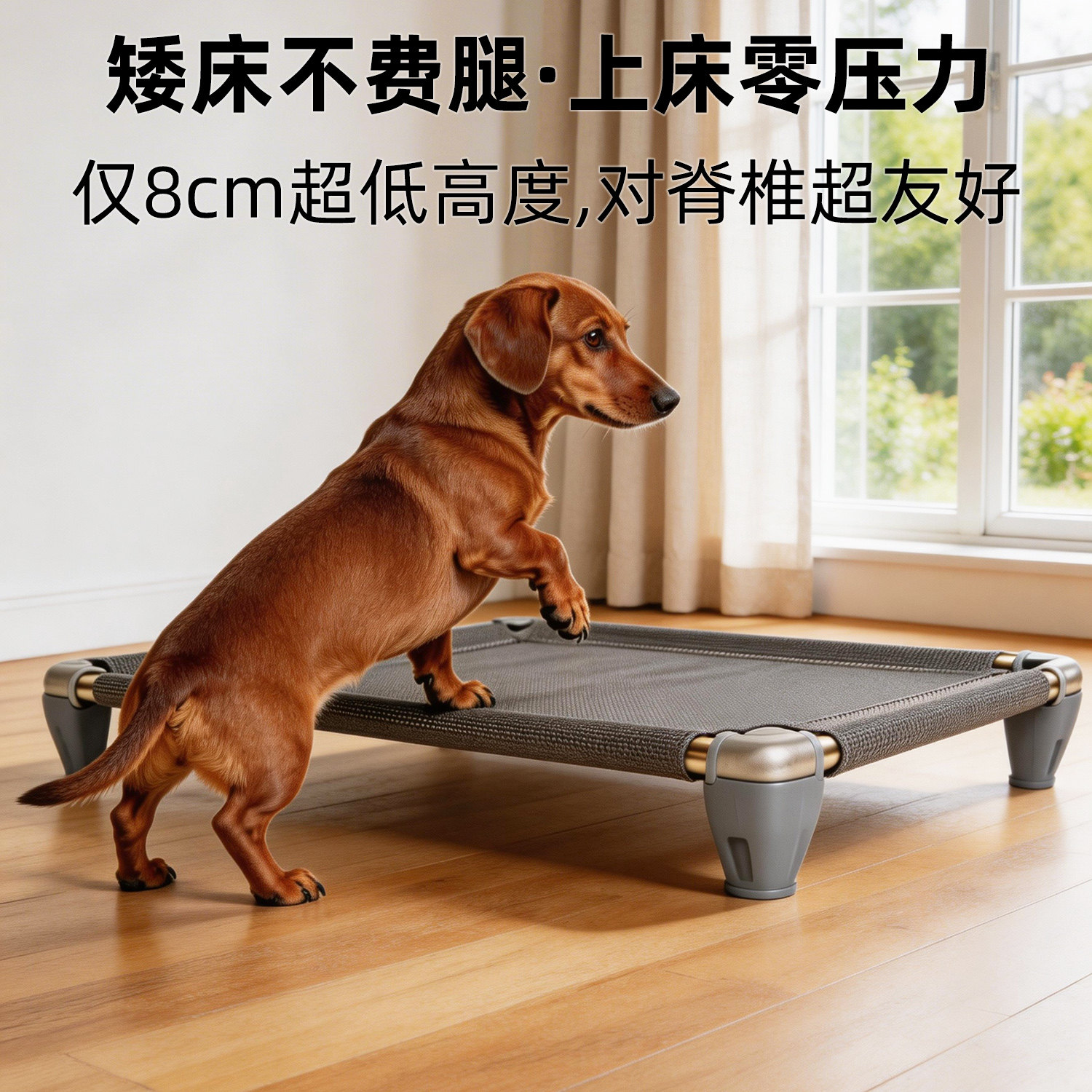 不锈钢狗狗行军床四季通