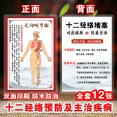 十二经络养生卡片 经络堵塞对应症状和改善方法学习彩卡全套12张