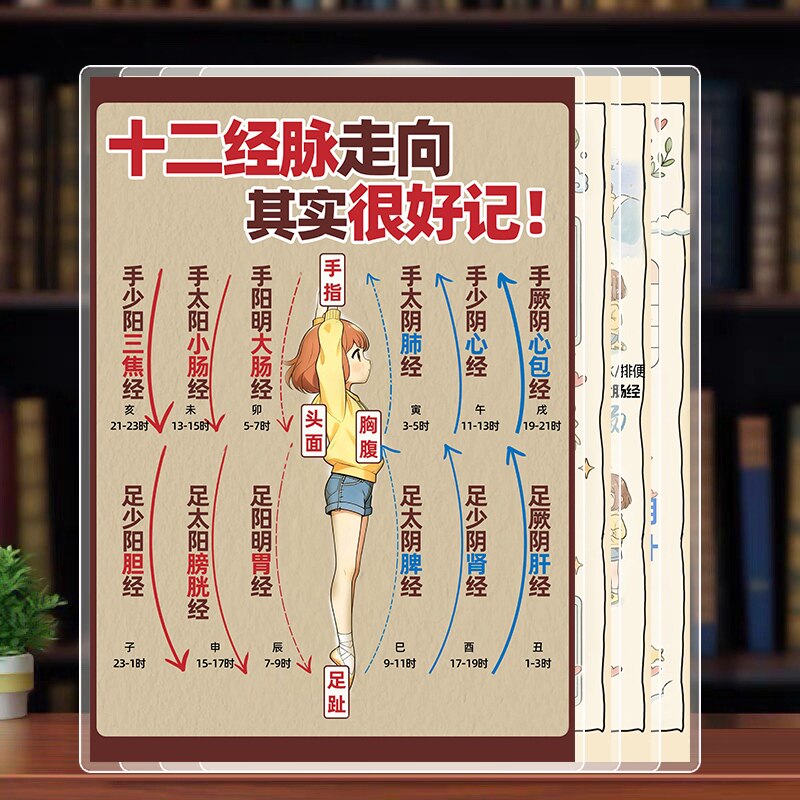 中医十二经脉走向 黄帝内经疏通经络 六经病解构彩色覆膜A4学习卡