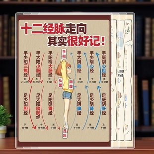中医十二经脉走向 黄帝内经疏通经络 六经病解构彩色覆膜A4学习卡