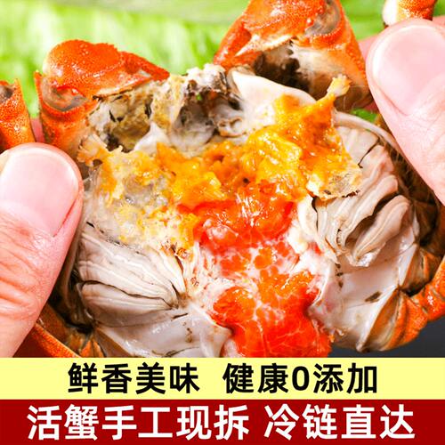源头工厂特价蟹黄500g非即食冷冻蟹肉蟹腿肉批量采购优惠