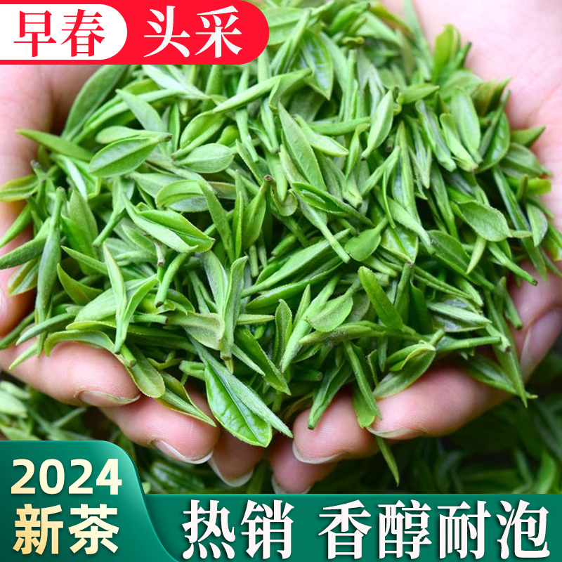 2025新茶高山云雾绿茶浓香型袋装
