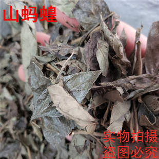 山蚂蟥500克中药材山蚂蝗 饿蚂蝗 瓦子草 连粘草 蚂蟥棵 包邮