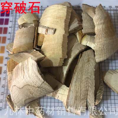精选穿破石500克 中药材川破石 柘根地棉根拉牛入石 包邮