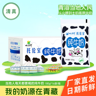 清真食品小西牛青海特产托伦宝纯牛奶袋装早餐整箱180g*16袋/箱
