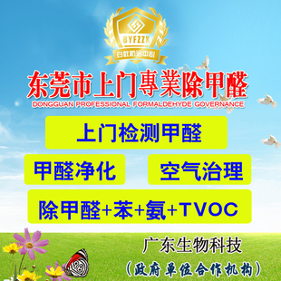 东莞市上门除甲醛服务新房子室内空气治理办公室新车甲醛检测除味