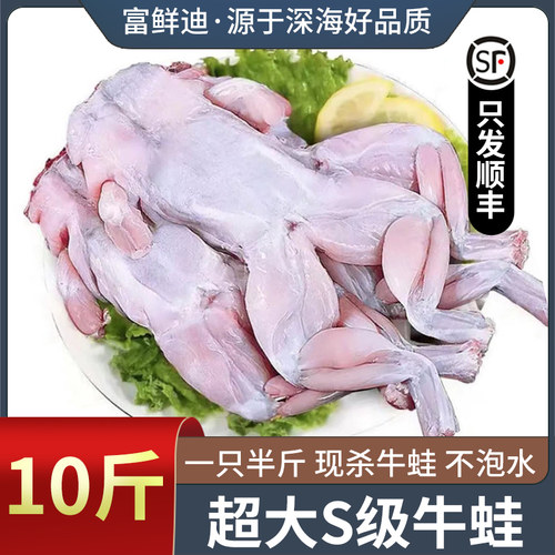 新鲜牛蛙现杀鲜活牛蛙净重无冰衣
