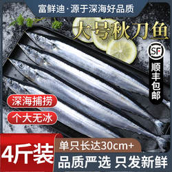 秋刀鱼新鲜冷冻商用整箱特大号烧烤料理海鲜水产鲜活深海鱼4斤装