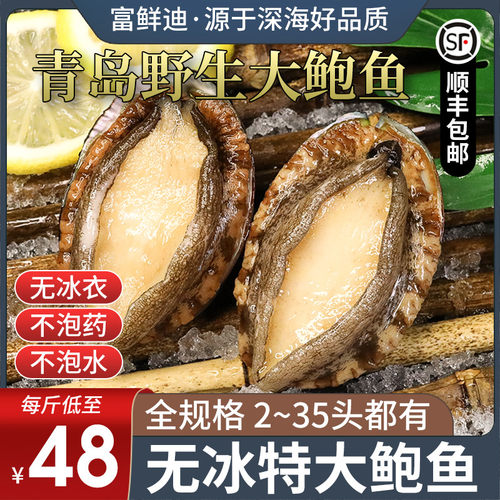 新鲜鲍鱼鲜活特大青岛九孔大鲍鱼