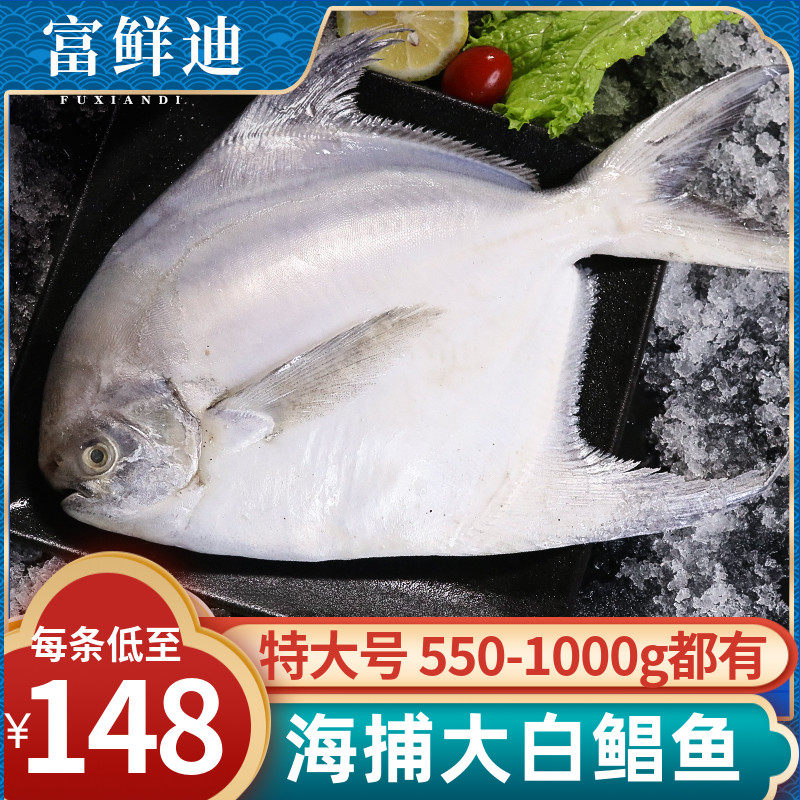 大白鲳鱼新鲜冷冻超大平鱼海捕镜鱼海鱼冰鲜海鲜水产扁鱼大昌鱼