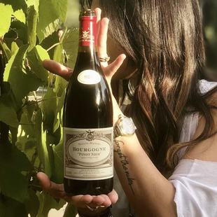 勃艮第风土教科书 法国勃艮第西格曼纽酒庄大区黑皮诺干红葡萄酒