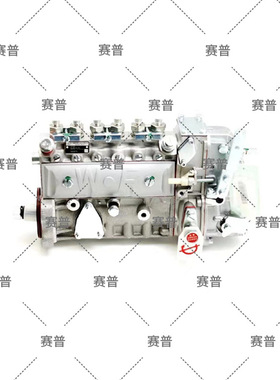 柴油发动机油泵 3976801无锡威孚喷油泵汽车配件6BT5.9-G1