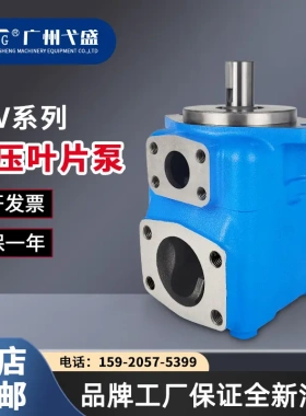 V系列45V-50A/60A/67A/75A-1A/1B/1C/1D系列注塑高压液压叶片油泵