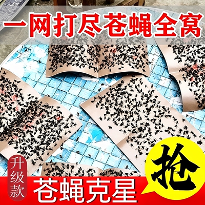 苍蝇贴强力粘蝇纸蝇板灭苍蝇神器