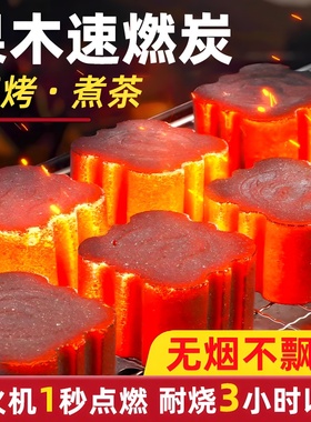 速燃炭烧烤碳木炭无毒无烟碳煤炭易燃果木炭家用助燃引火煮茶竹炭