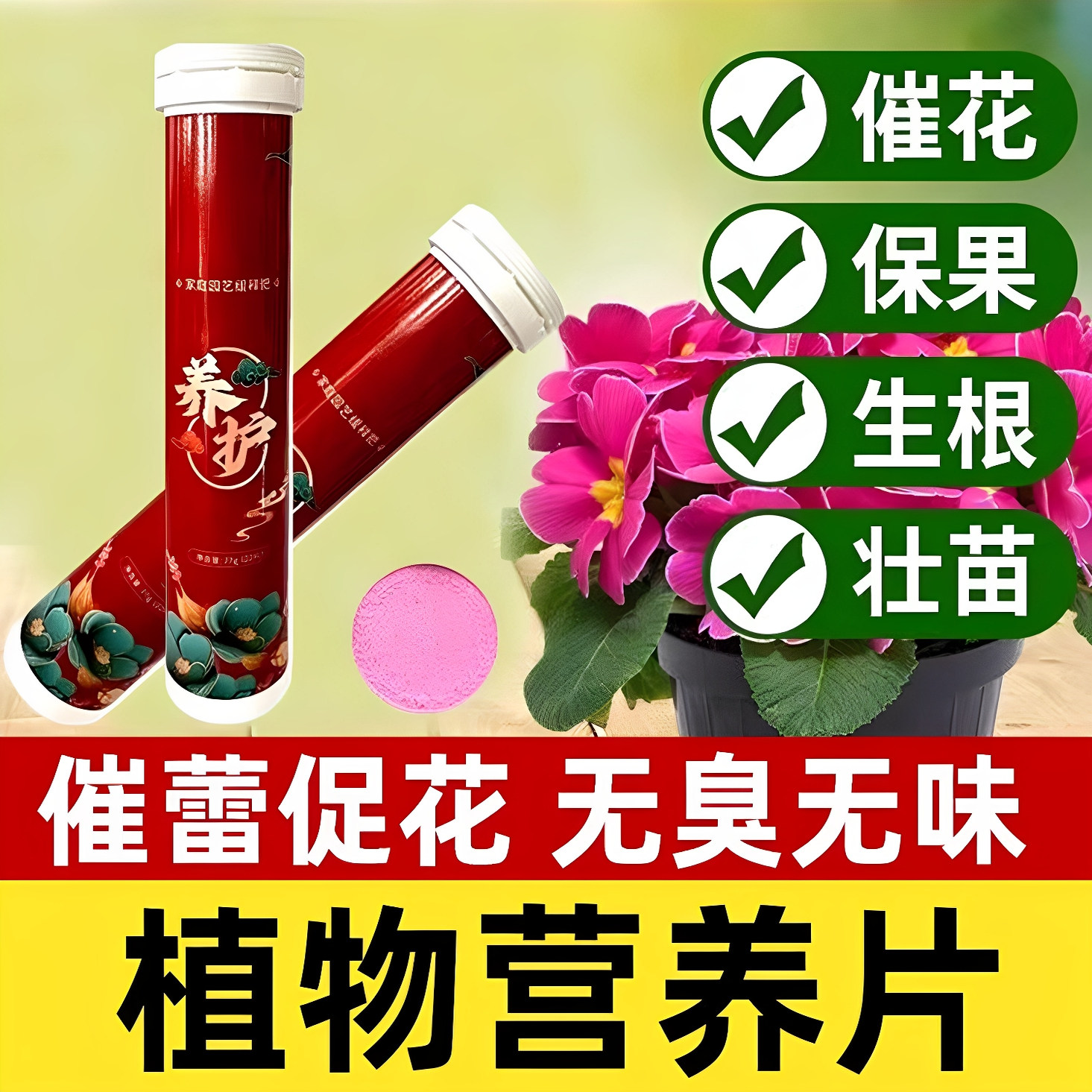 植物营养片通用型缓释片绿植花肥料复合肥花卉缓释肥家用盆栽园艺,鲜花速递/花卉仿真/绿植园艺,家庭园艺肥料,淘宝优惠券,粉丝福利购,淘宝优惠卷