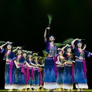 第十三届荷花奖生生回响舞蹈服民族演出服女子群舞表演服彝族黎族