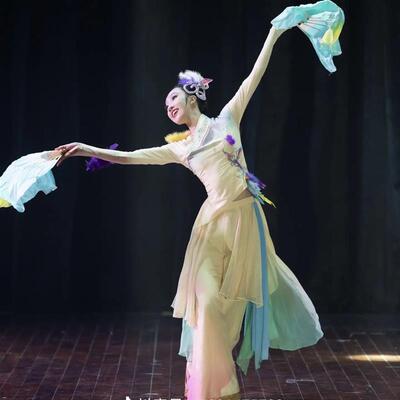 古典舞演出服女飘逸春意枝头闹舞蹈服装剧目艺考秧歌服扇子舞套装