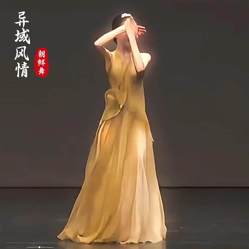 古典舞舞蹈服绝美仙气飘逸朝鲜舞蹈艺考剧目服装现代舞演出表演服