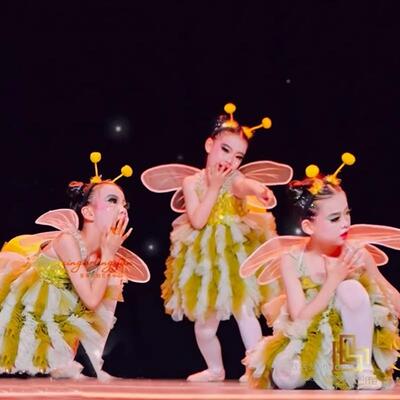 童演出MRB服闪亮的星萤火女虫童蓬蓬纱裙表演服小蜜儿蜂舞道蹈具