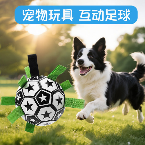 小狗具球小狗解闷柯基互动专用