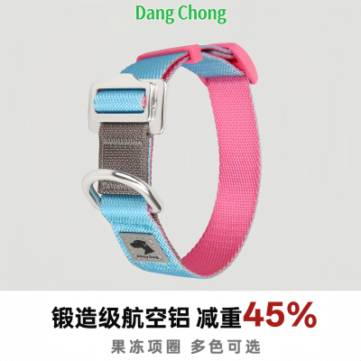 舒适轻量化防挣脱脖套狗狗项圈
