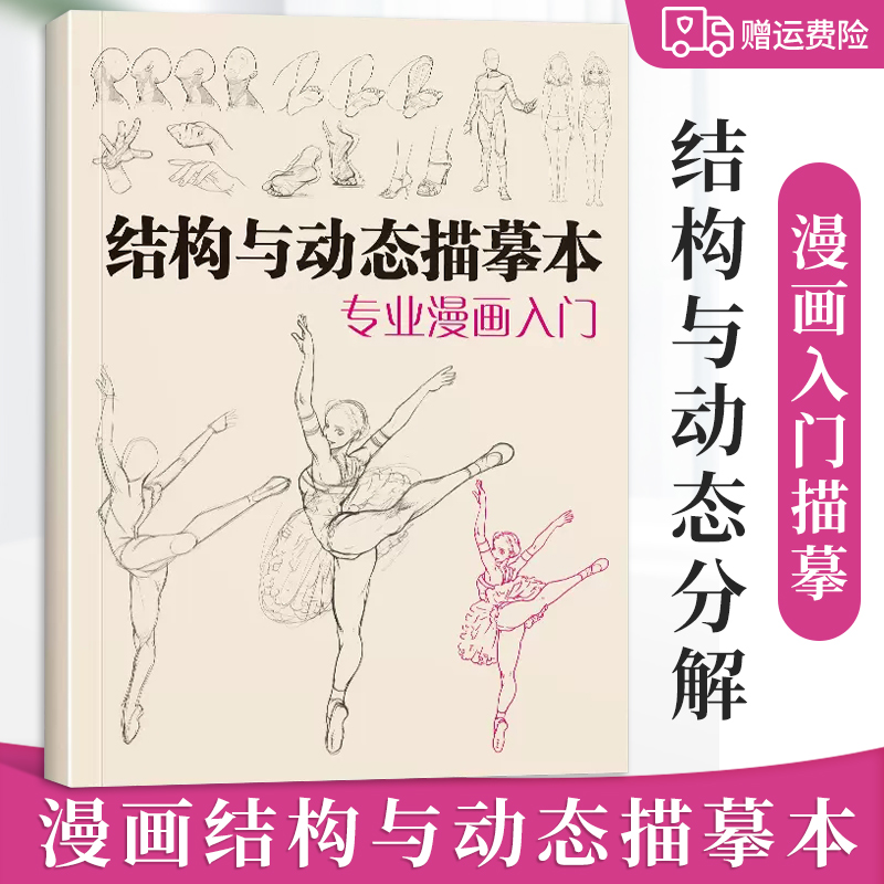 漫画入门零基础描摹结构与动态