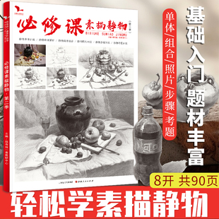 必修课素描静物第二季 静物结构关系明暗照片对画临摹范本基础入门联校考美术教程教材书 我有我一套系列丛书李汉清