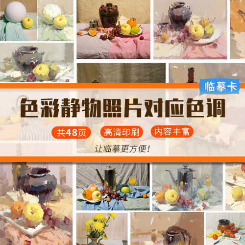 色彩静物照片对应作品完整色调临摹卡 色彩静物临摹范本范例色调美术书绘画零基础入门临摹画册教材色彩教程