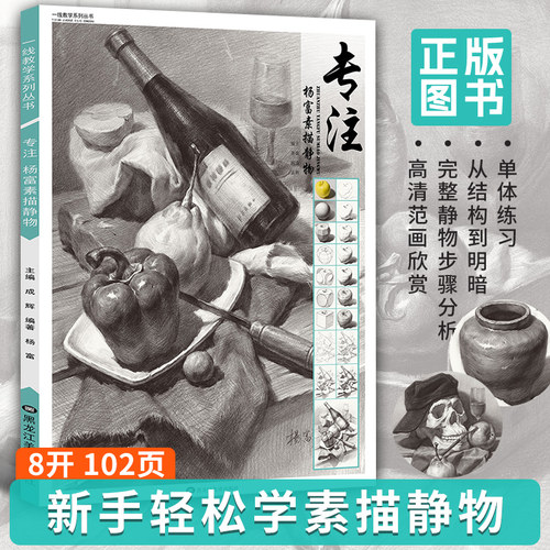 专注杨富素描静物一线教学成辉