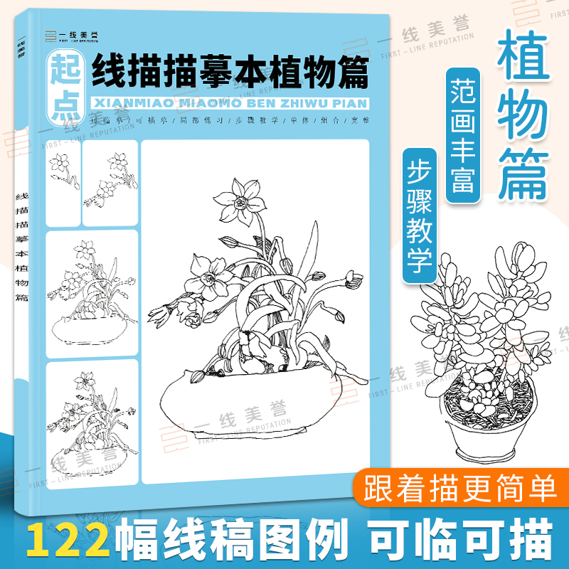 一线美誉线描描摹本植物篇