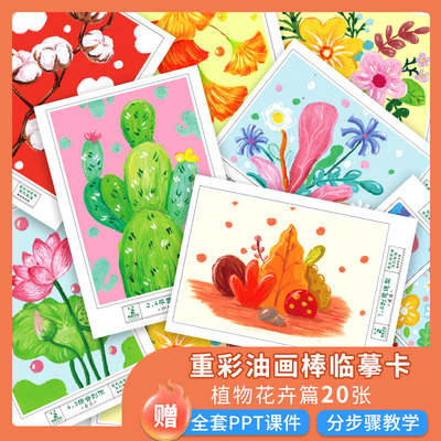 朝花夕拾重彩油画棒临摹卡植物花卉篇少儿美术创意素描考级画室临摹卡素材
