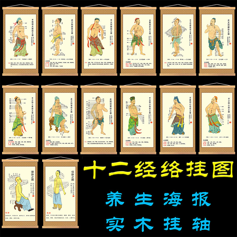 十二经络挂图穴位图人体12经络走向图十四图解养生馆中医馆装饰画