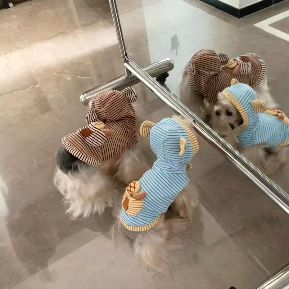博美泰迪比熊小型犬小狗防掉毛宠物狗狗衣服春秋夏季薄款马尔济斯