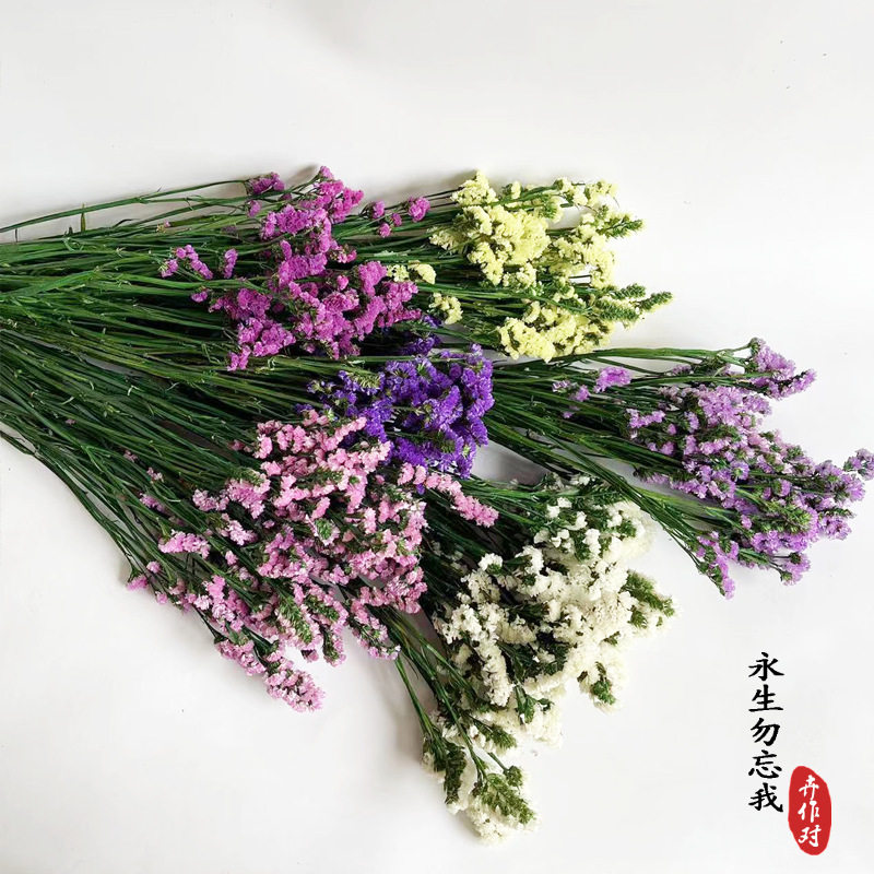 永生花勿忘我干花七夕情人节礼手工制作仿真花家居毕业礼物