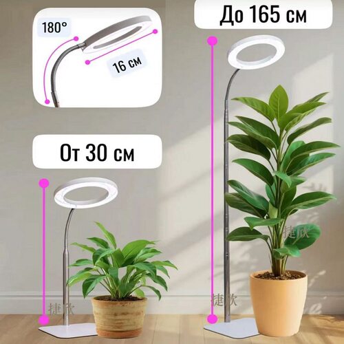 6寸LED天使环植物灯全光