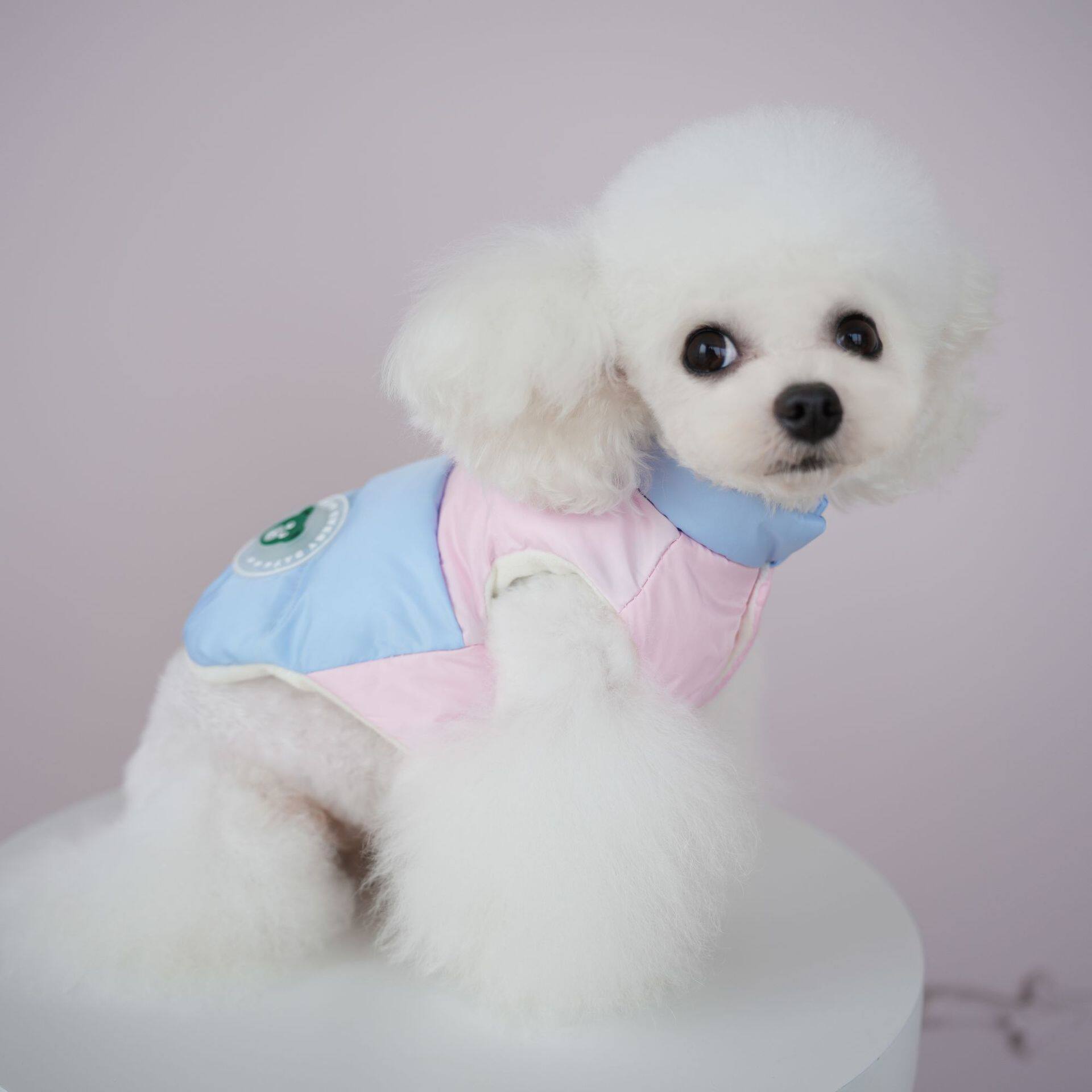 棒棒糖宠物狗衣服秋冬新款马卡龙拼接手塞防水棉衣猫咪两脚衣服