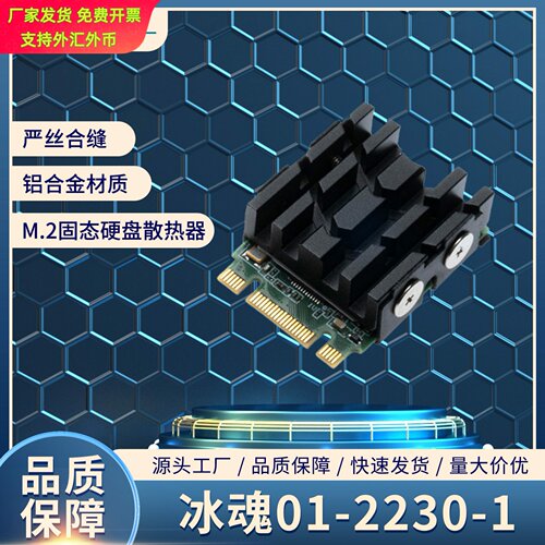寒彻冰魂012230M2SSD固态硬盘