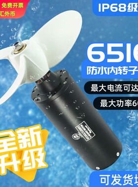 Flipsky全新升级65161防水内转子无刷水翼板电动冲浪板推进器电机