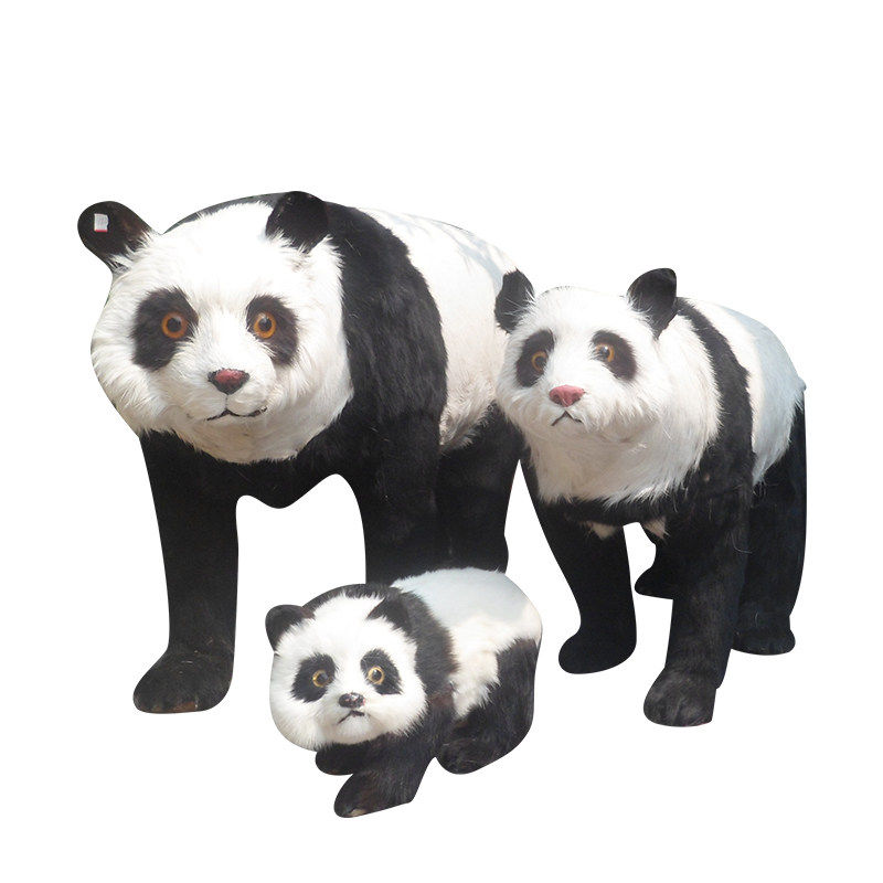 真动物熊猫模型皮毛工艺品熊猫标本照相摄影熊猫摆件教学道具